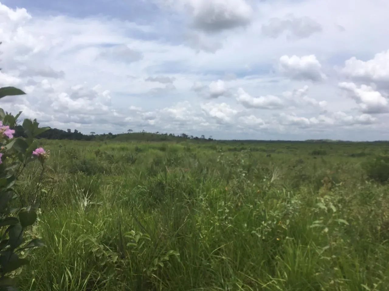Fazenda a venda em Goiatins - TO - Foto 5