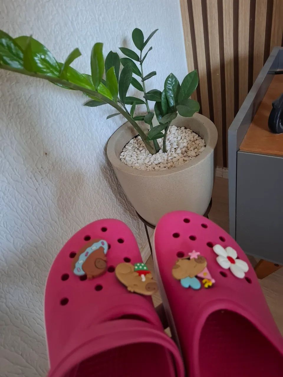 CROCS - Foto 2