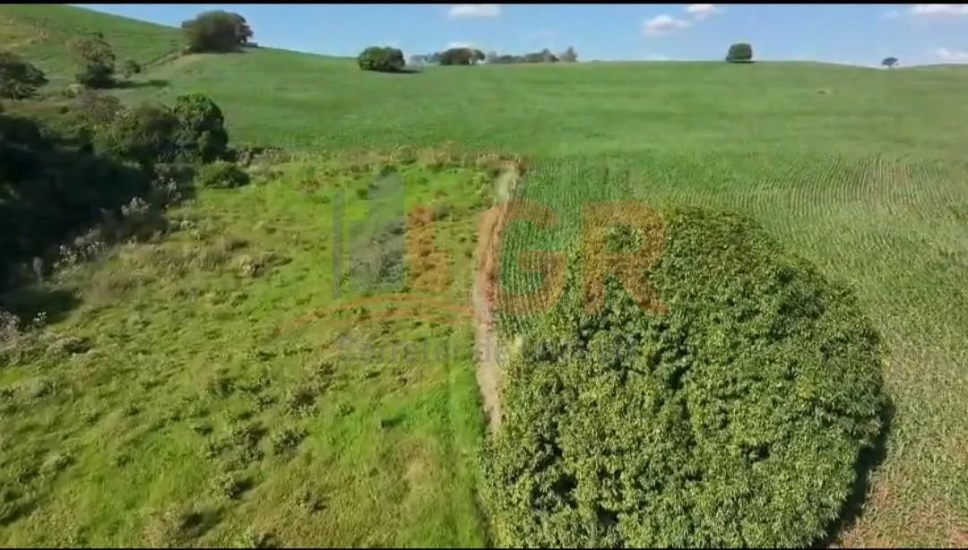 Sítio para Venda em Santa Amélia, Centro - Foto 5