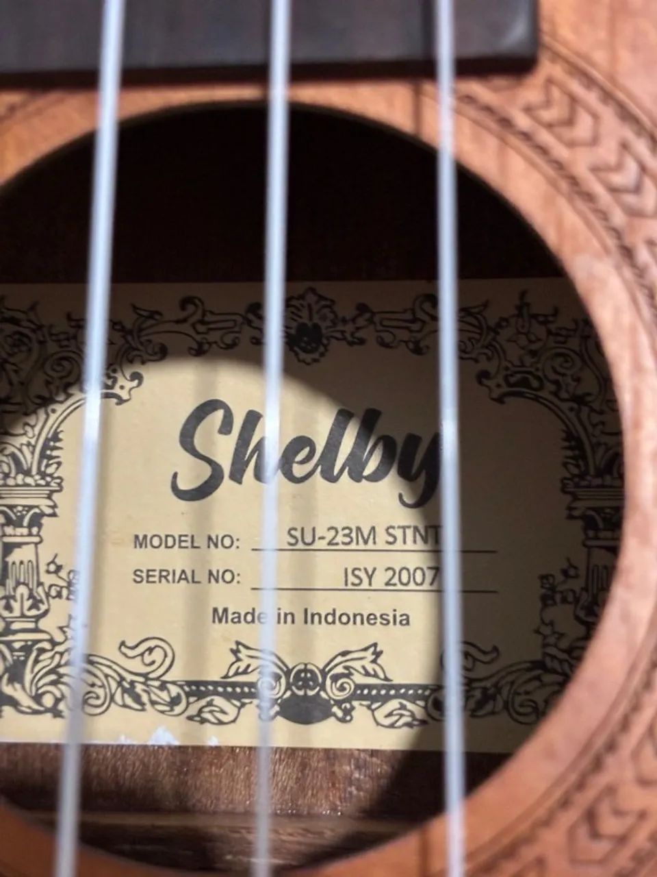 Ukulele Concert Shelby - Foto 3