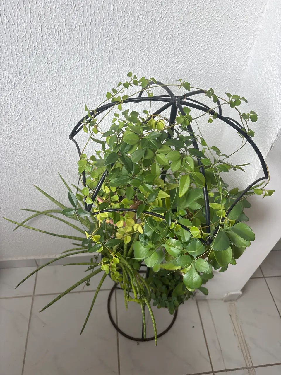 Vendo - Foto 2