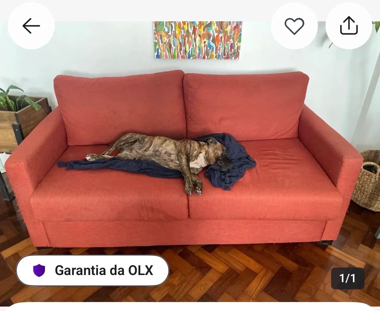 Sofá seminovo e de luxo