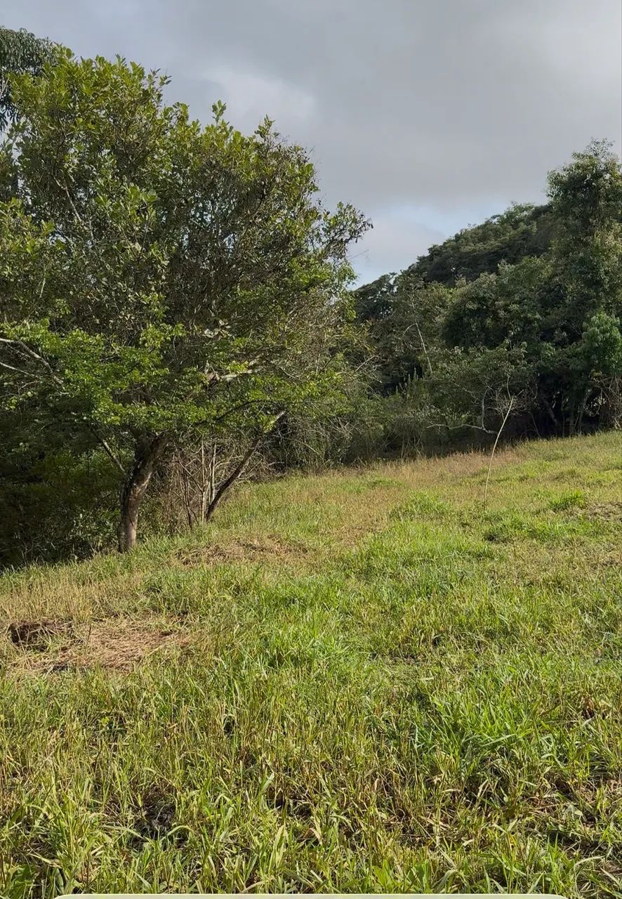 Chácara na beira do rio Uru em Itaberaí  - Foto 2