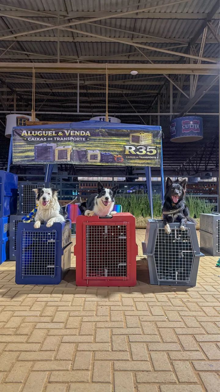 Caixas de Transporte Pet Cães e Gatos 