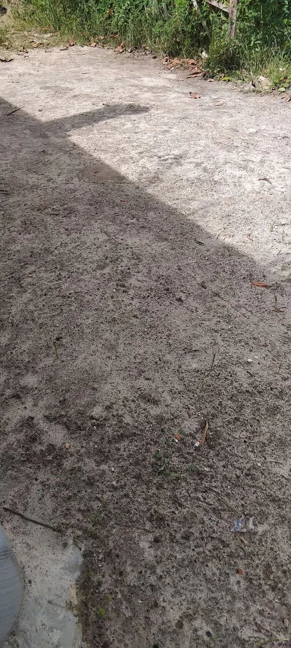 Terreno  - Foto 2