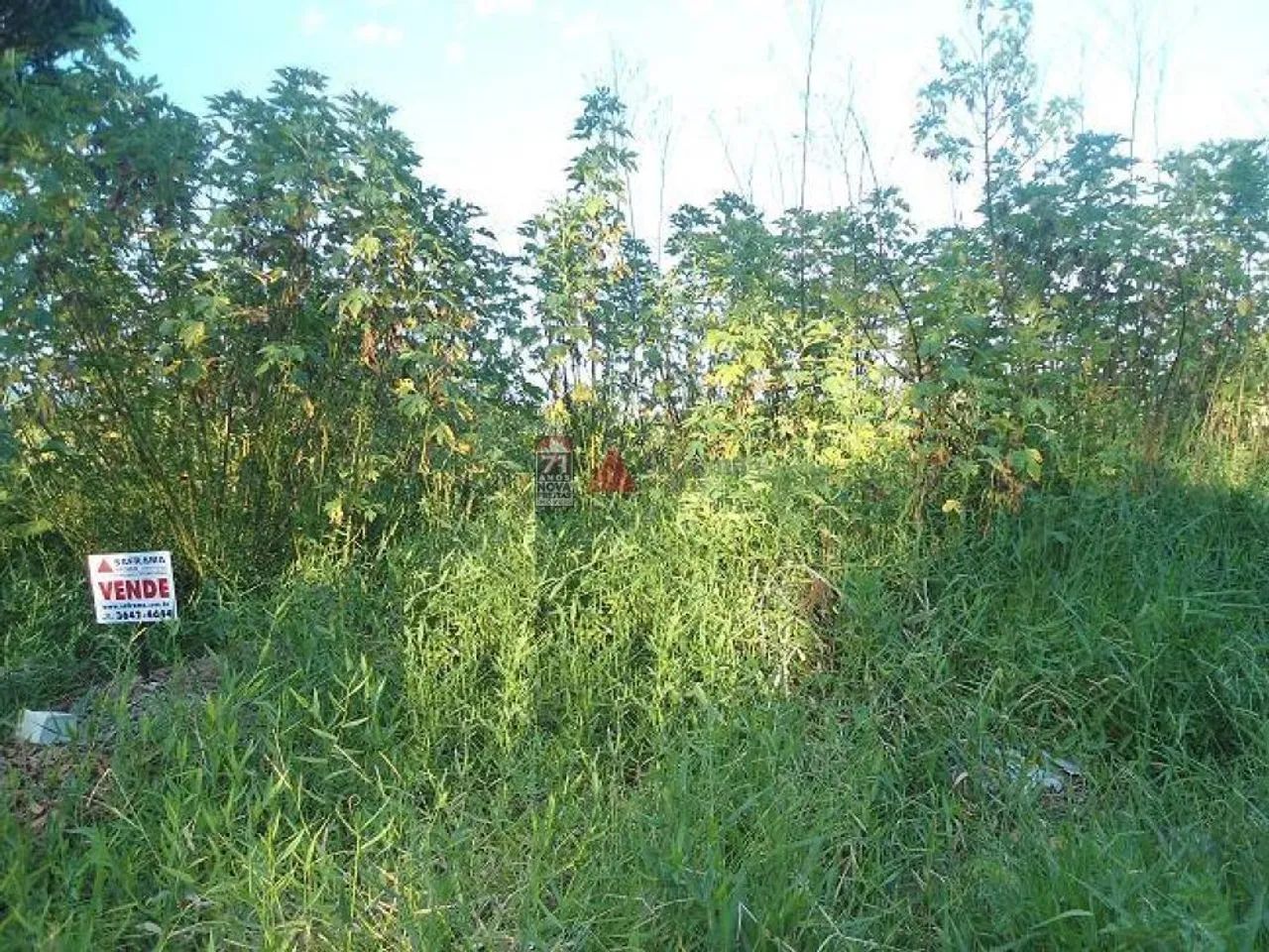 Terreno Padrão em Pindamonhangaba