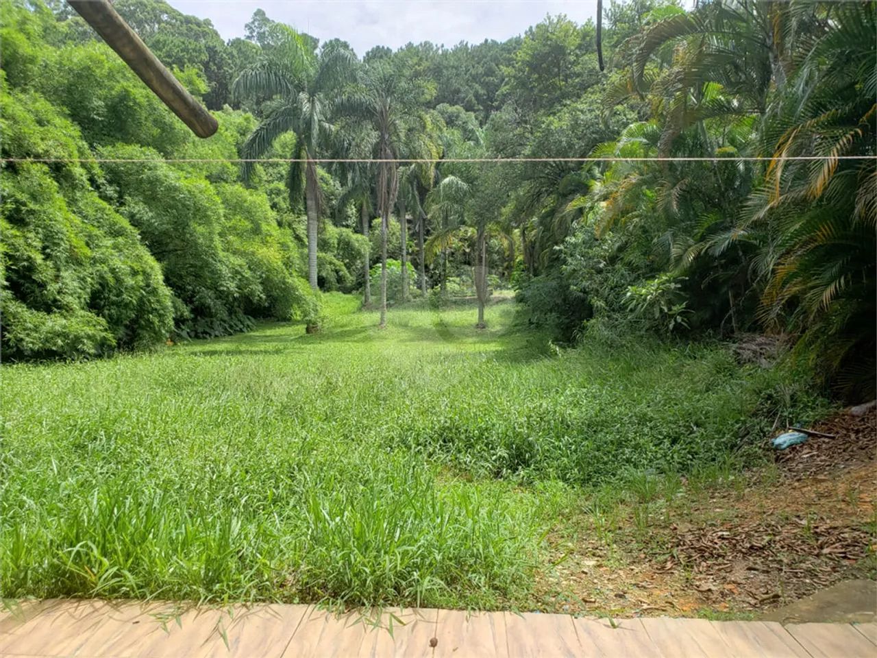 Terreno à venda em Vila amélia - SP - Foto 4