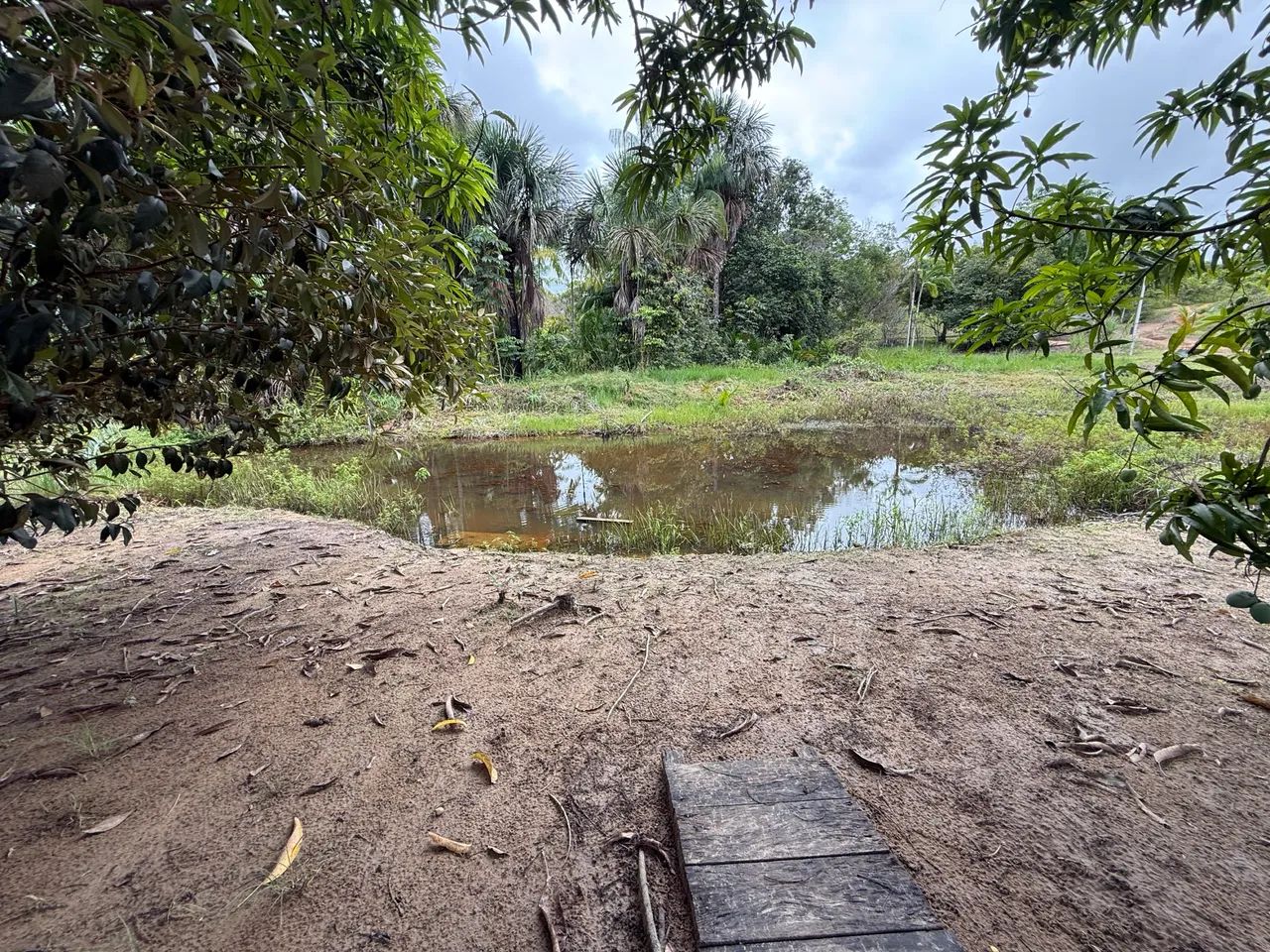 CHÁCARA NO SANTA RITA VENDO OU TROCO ZAP * - Foto 5