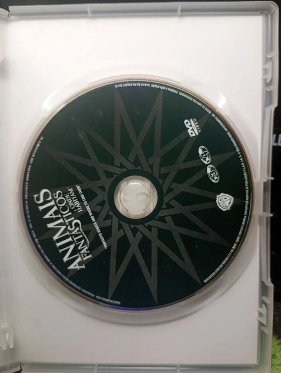 DVD Animais Fantásticos e onde Habitam  - Foto 3