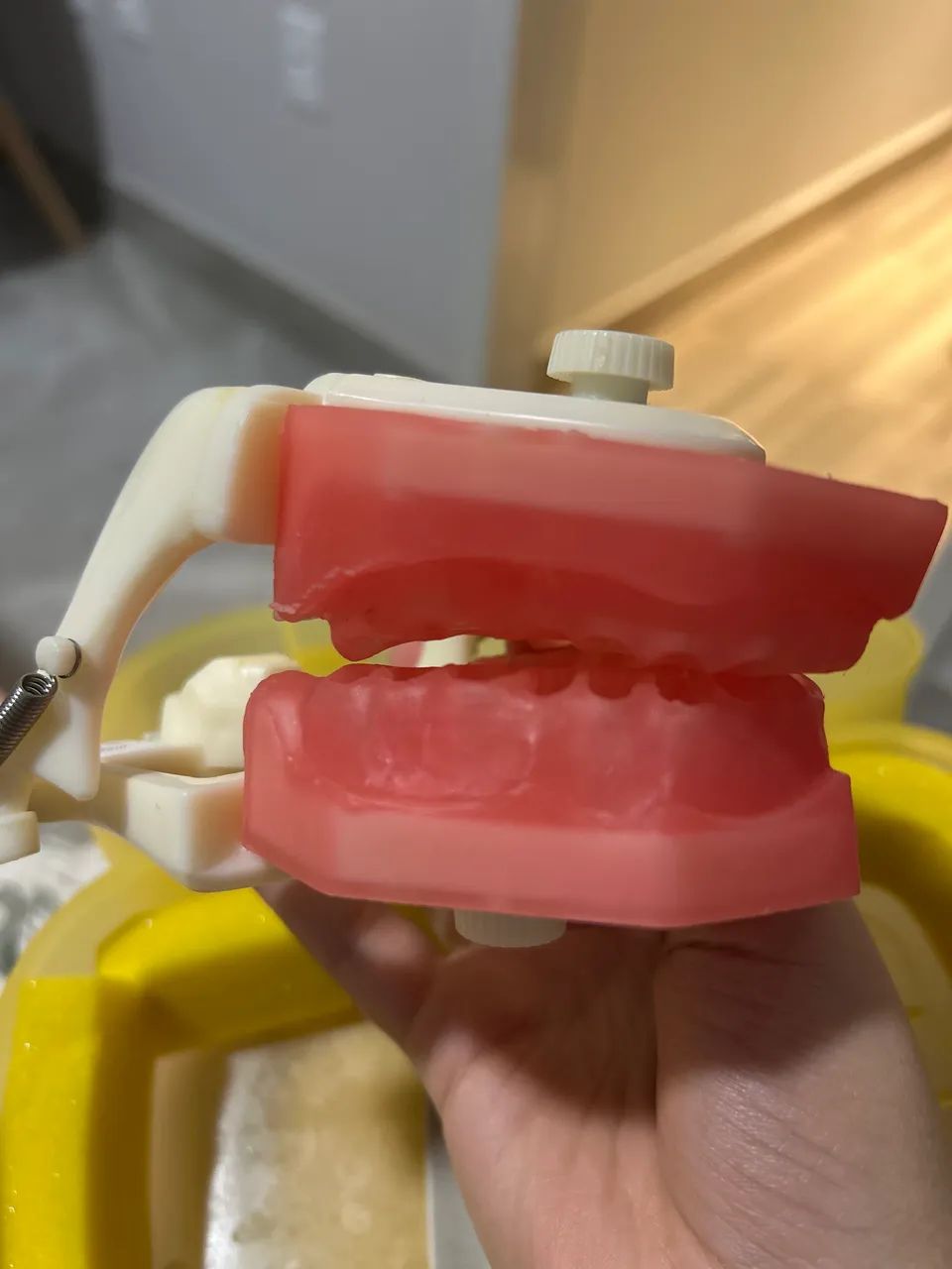 Manequim de endodontia Pronew  - Foto 2