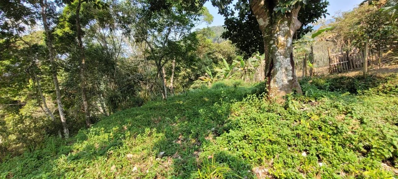 Terreno Disponível Morretes 
