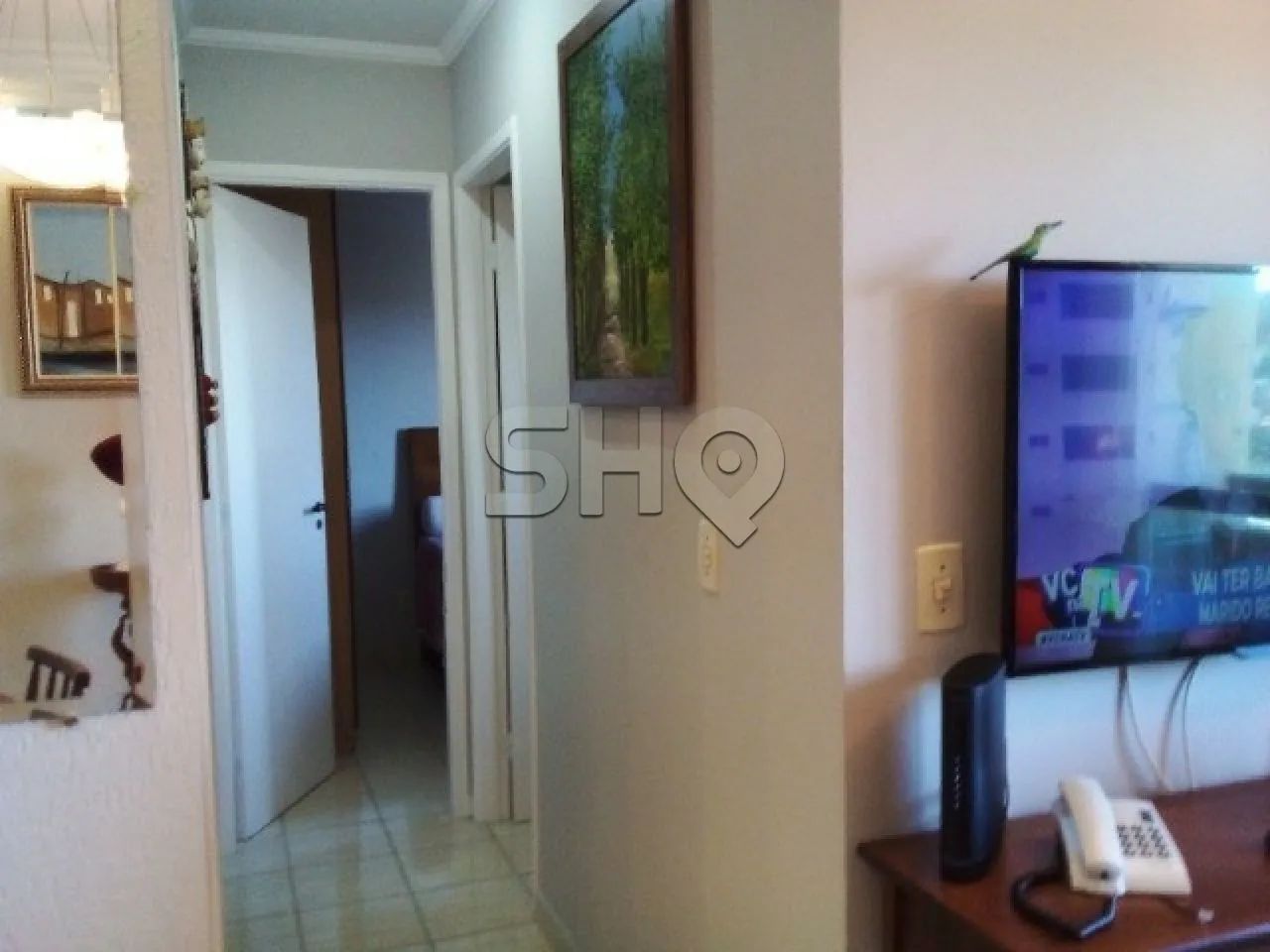 Apartamento no Mandaqui com 2 dormitórios - Foto 3