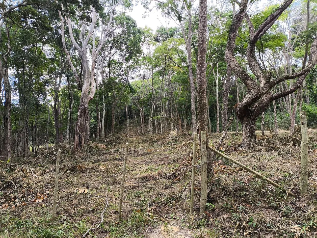 Terreno próximo a Ravena - Foto 2