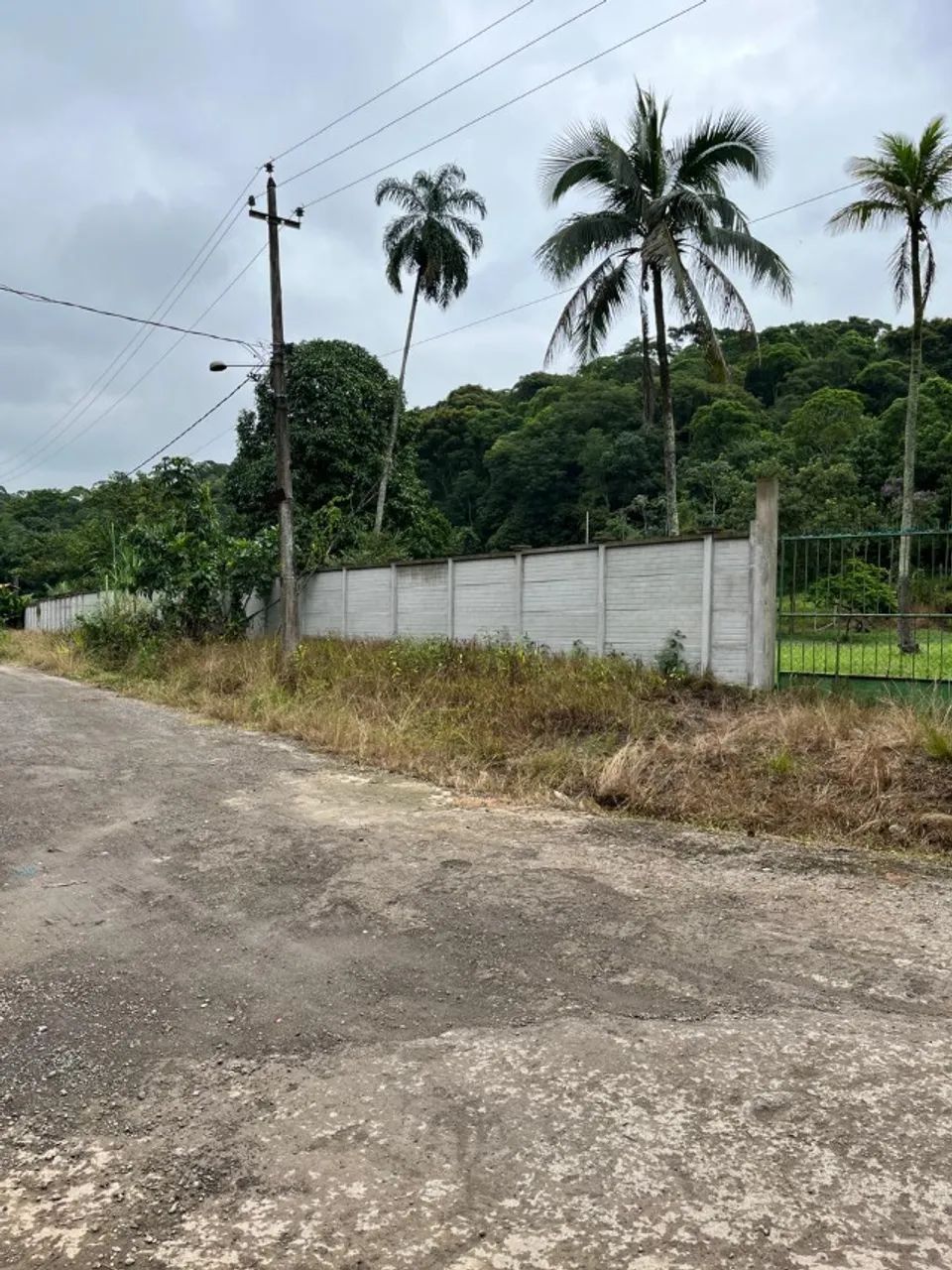 Sítio em Barão de Guandu - Foto 3