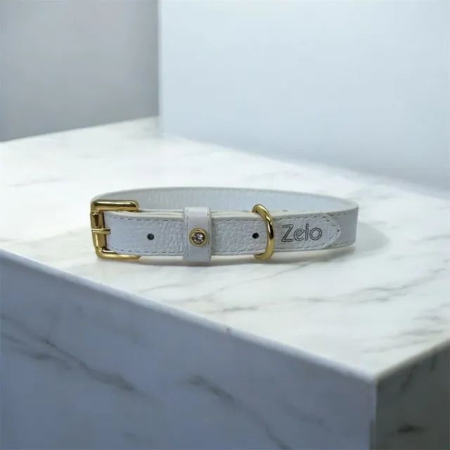 RAMO EM ACESSÓRIOS PET - OPORTUNIDADE COMPLETA DE NEGÓCIO  - Foto 5