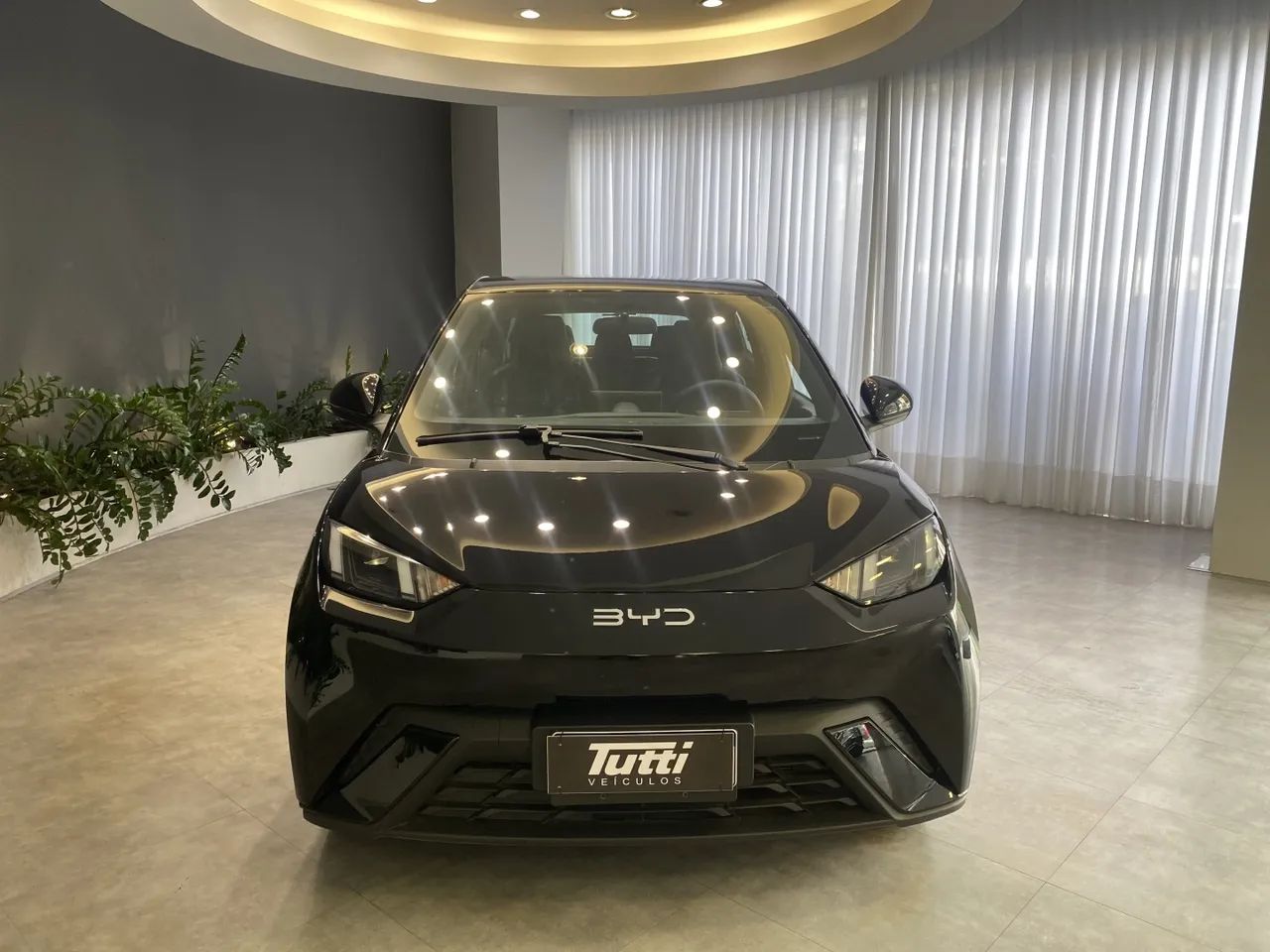 BYD Dolphin Mini (Elétrico) 2025 - Foto 3