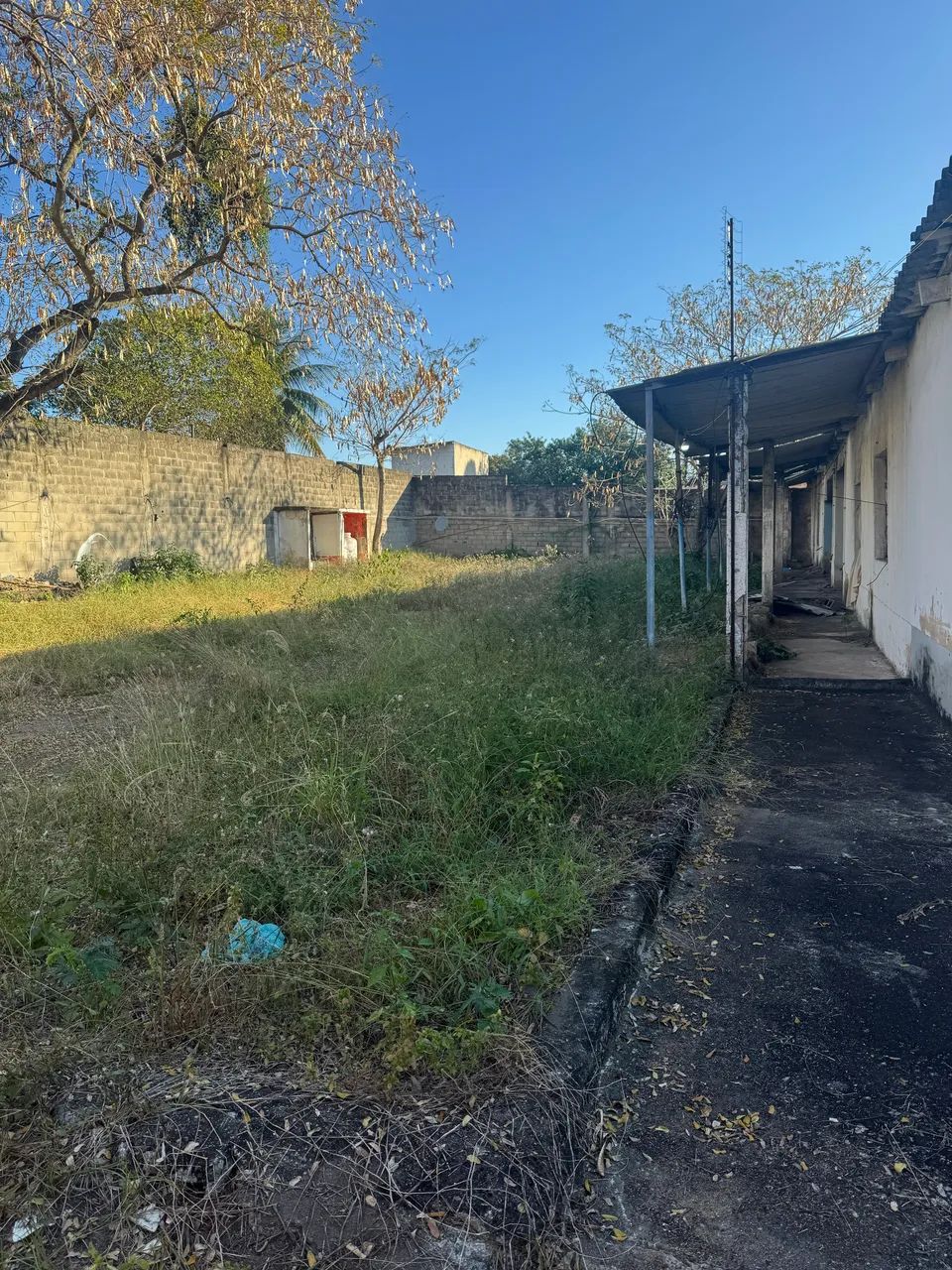 Galpão  - Foto 4