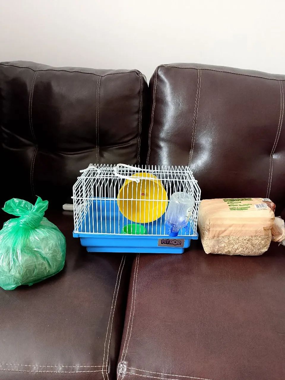 Casa de hamster 439275021109841921
