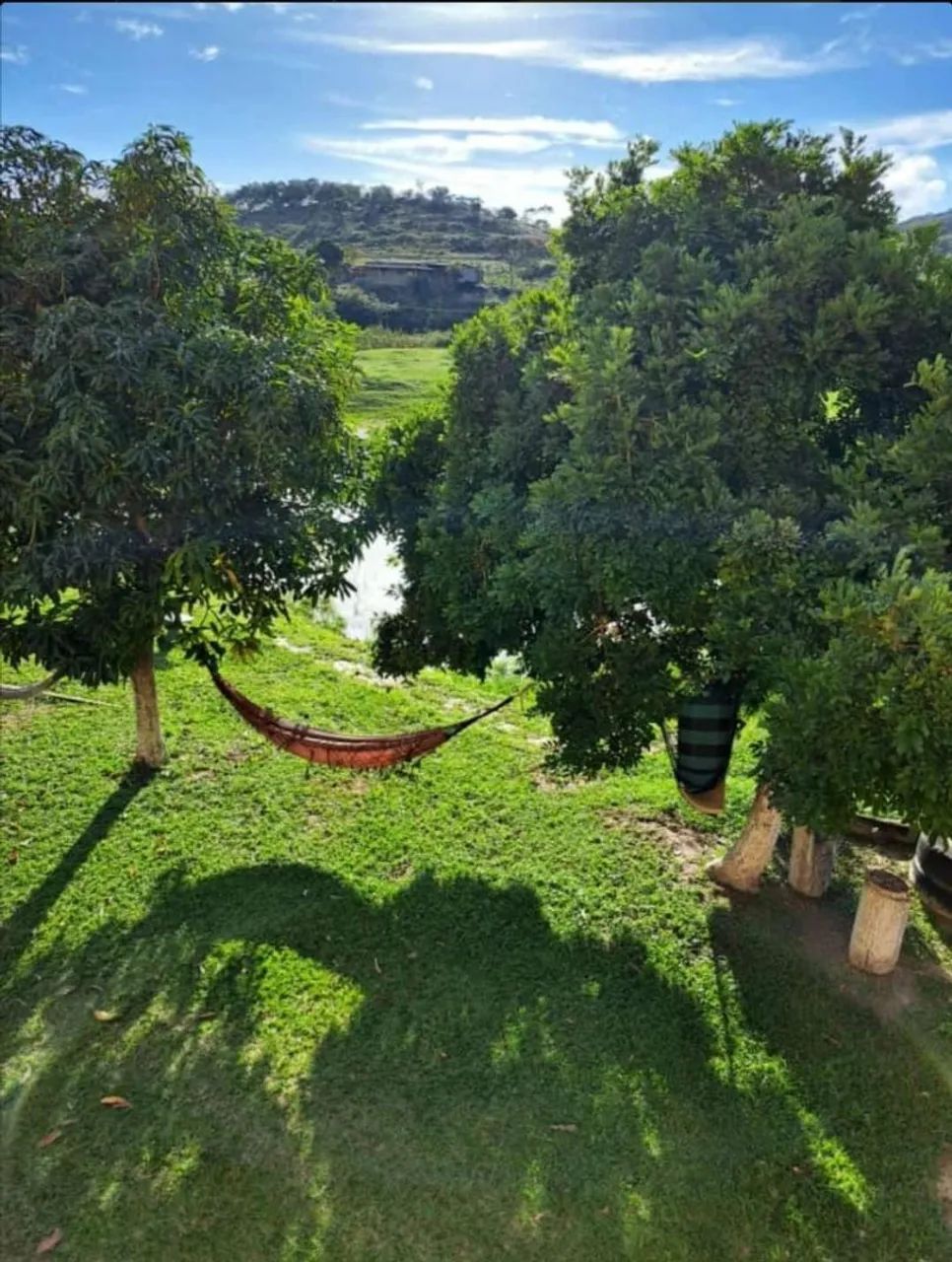 Alugo lindo sitio em Ravena   - Foto 5