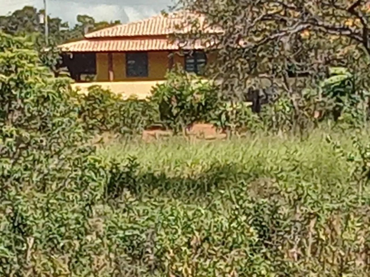 Lote 2000 MTS 5,000 São José de Almeida  - Foto 5