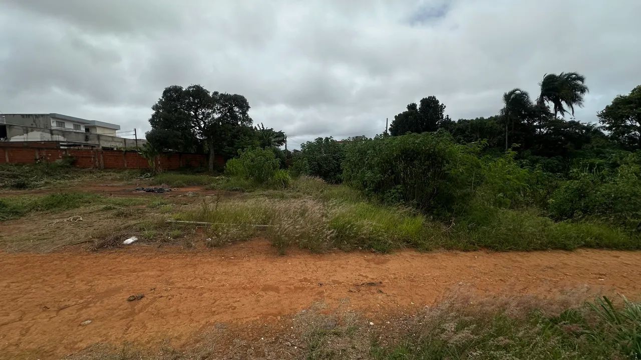 Lote em Vicente Pires - Foto 4