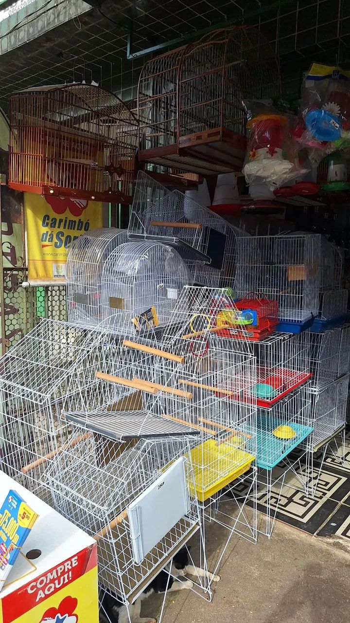 Viveiros gaiolas e assessórios 