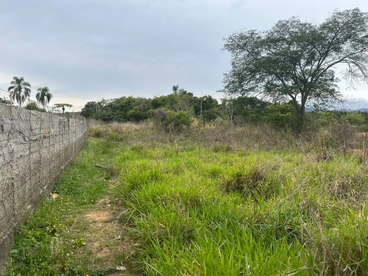 Foto - Juiz de Fora - Bom Pastor