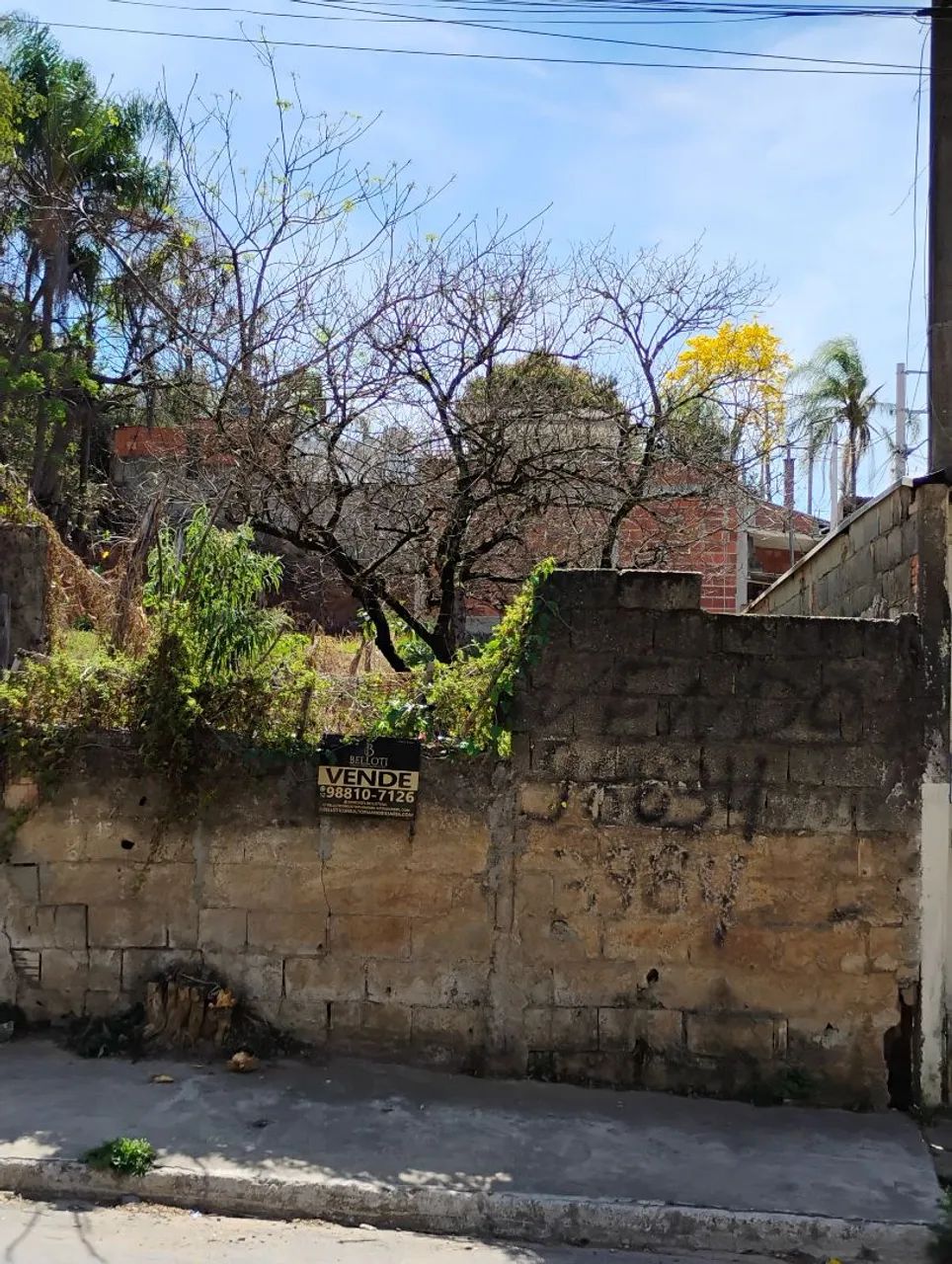 Foto - São José dos Campos - Jardim Santa Hermínia