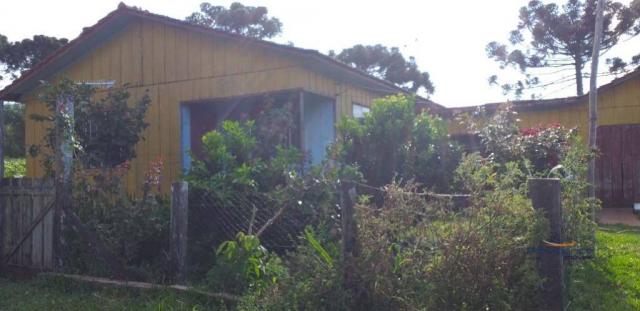 Fazenda à venda, 968000 m² por r$ 2.000.000,00 - fazenda velha - nova laranjeiras/pr - Foto 19