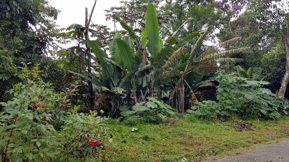 Terreno à venda em Jardim sao jorge, Arujá cod:254 - Foto 5