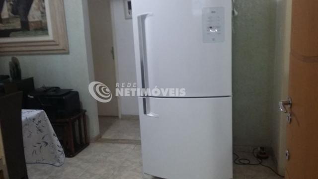 Apartamento à venda com 2 dormitórios em Jardim américa, Belo horizonte cod:636843 - Foto 3