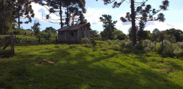 Fazenda à venda, 968000 m² por r$ 2.000.000,00 - fazenda velha - nova laranjeiras/pr - Foto 20