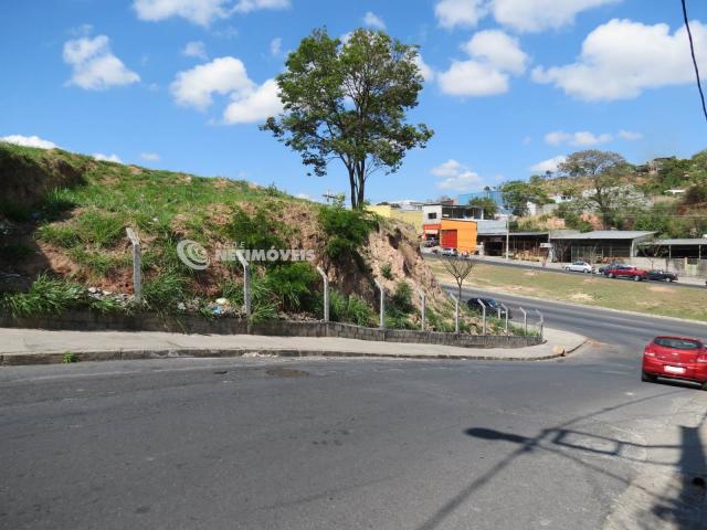 Terreno à venda em Jardim alvorada, Belo horizonte cod:647864 - Foto 2