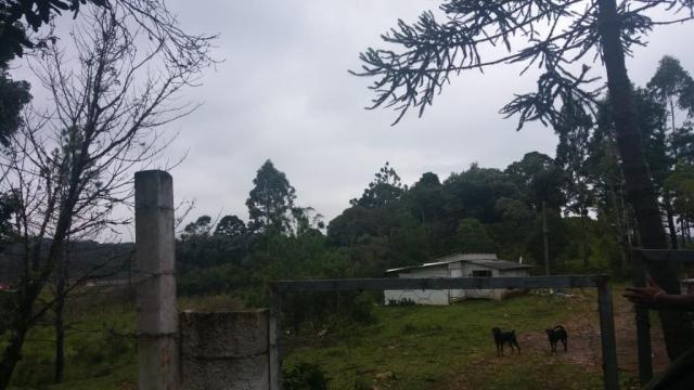 Área à venda, 103000 m² por r$ 700.000,00 - borda do campo - são josé dos pinhais/pr - Foto 19