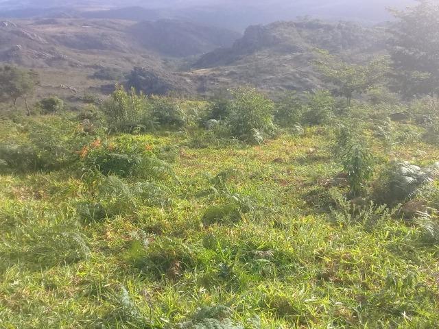 Terreno para loteamento ou pousada 20 ha no asfalto Milho Verde, Estrada Diamantina Serro - Foto 8