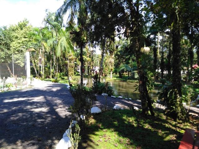 Chácara - São João da Graciosa - Morretes - Foto 15