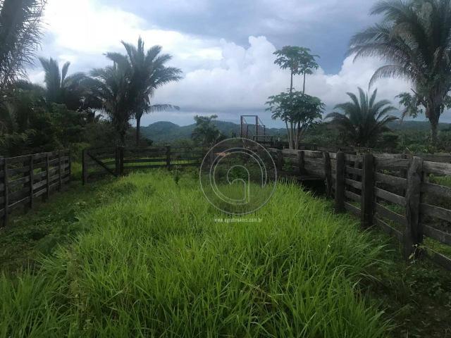 Sítio 80 ha santo antonio do leverger - Foto 9