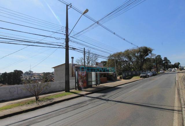 Terreno comercial na avenida manoel ribas - Foto 6