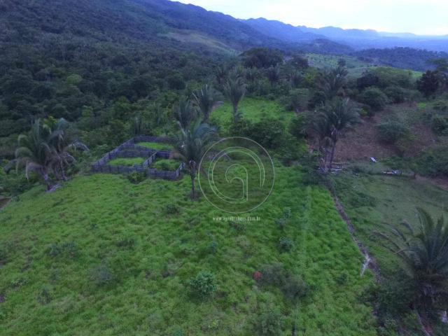 Sítio 80 ha santo antonio do leverger - Foto 16