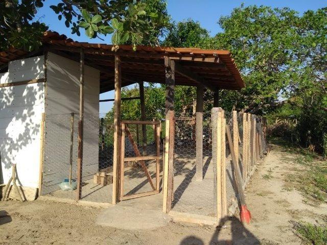 Sítio com 4,5 hectares, situado na cidade de Arari-MA - Foto 14
