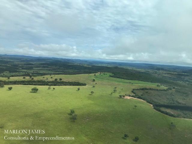 Fazenda em Caiapônia-Go