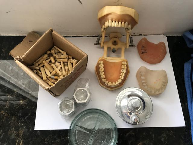 Manequim odontológico