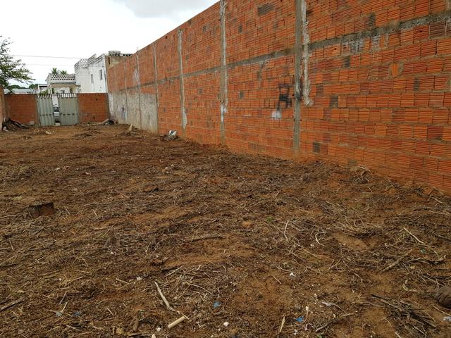 Vendo Terreno Próximo a Cajuína! - Foto 9