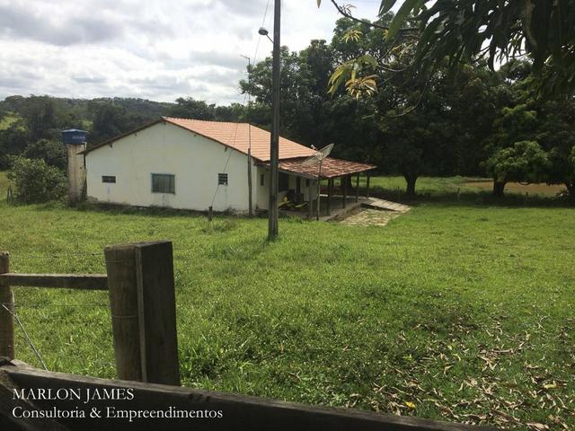 Fazenda no Município de Ipameri-Go - Foto 4