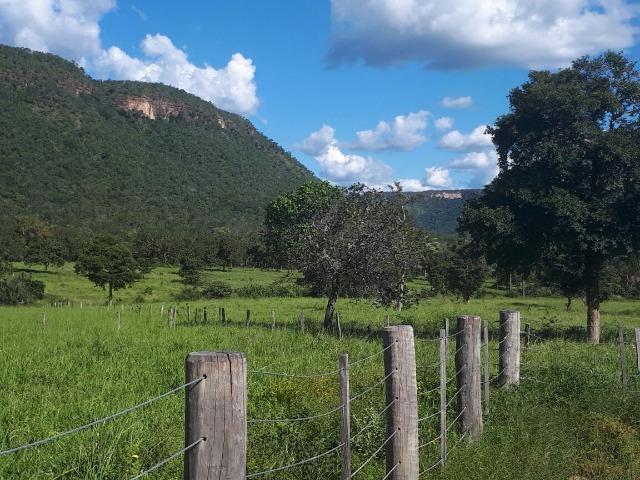Sítio Palmas - Foto 3