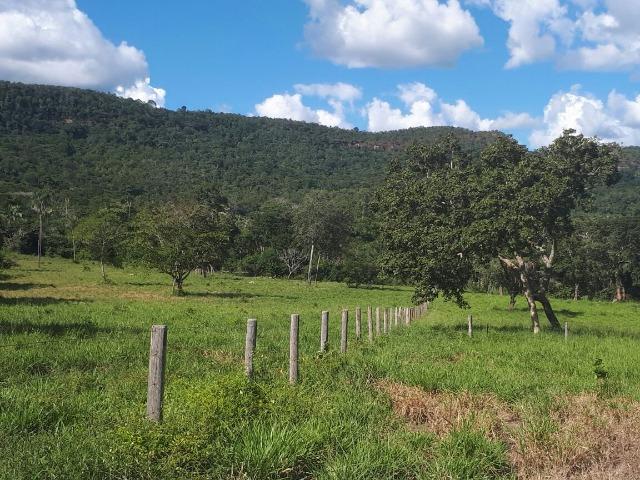 Sítio Palmas - Foto 8