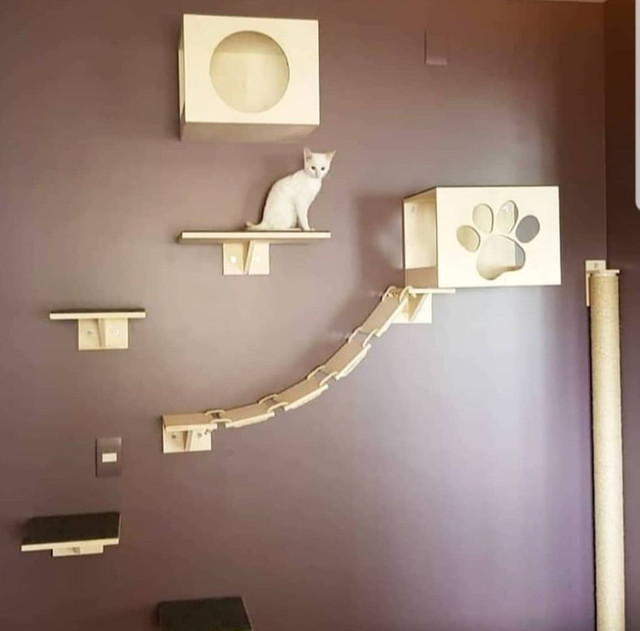 Playground para gatos - Foto 4