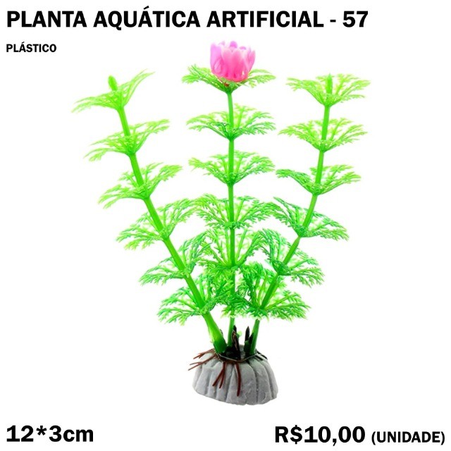 Planta Aquática para Aquário