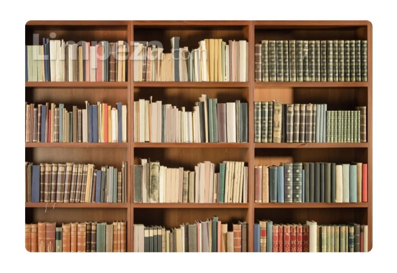 Lote com 2 mil livros