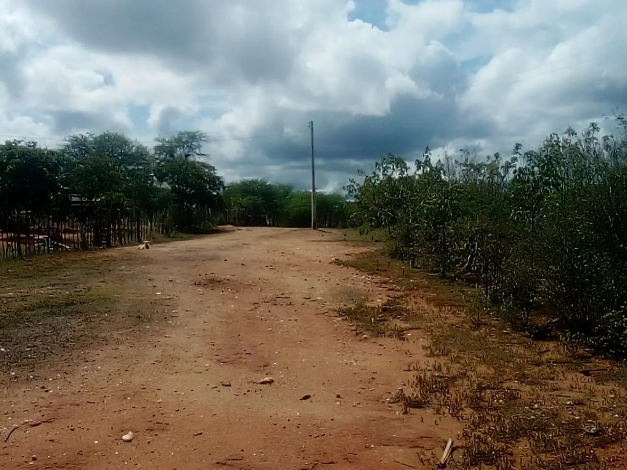 Vendo fazenda 70hectares Sertania - Foto 3